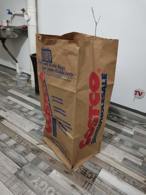 Χαρτί 30 Gal βιοδιασπώμενες τσάντες γκαζόν και φύλλων Προσαρμοσμένο μέγεθος σχήματος